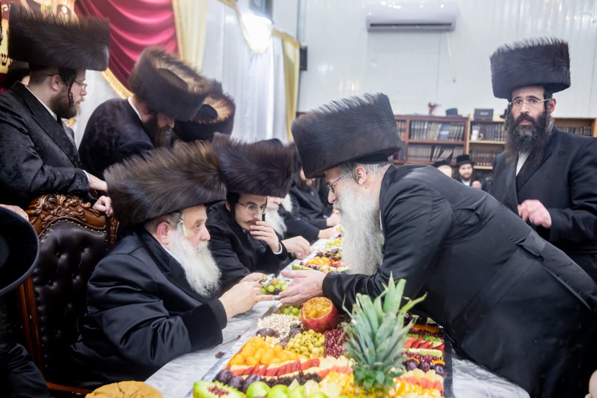 שבע ברכות לנכדת האדמו"ר מקוסוב ויז'ניץ בשילוב טיש לט"ו בשבט