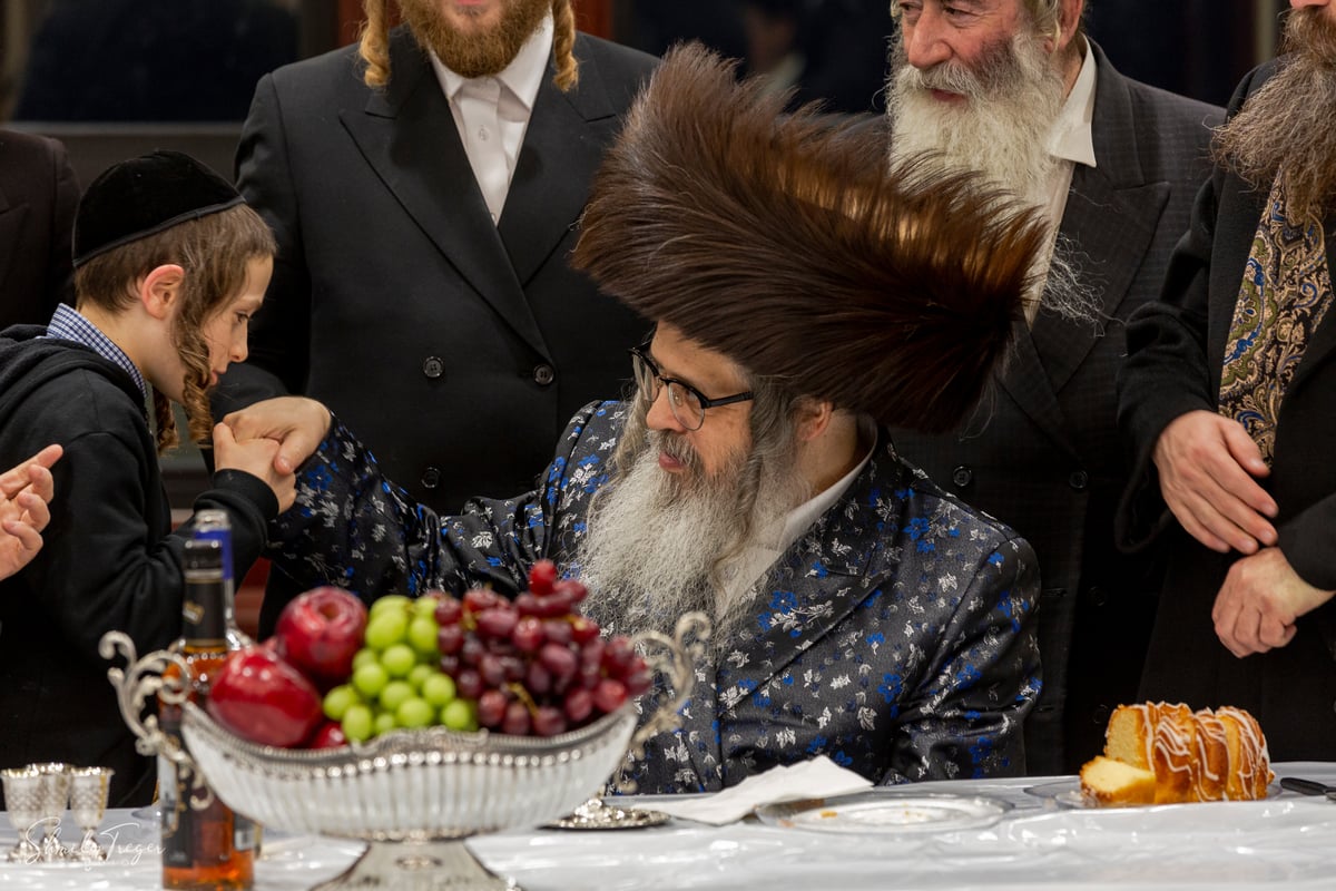 אלו שלושת הדיינים החדשים של חסידי סאטמר בלייקווד