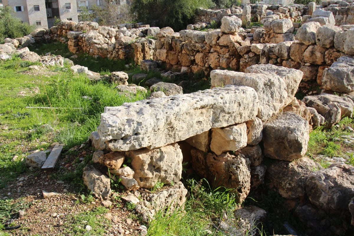 האתר הארכיאולוגי של העיר מודיעין עילית - נפתח לכולם