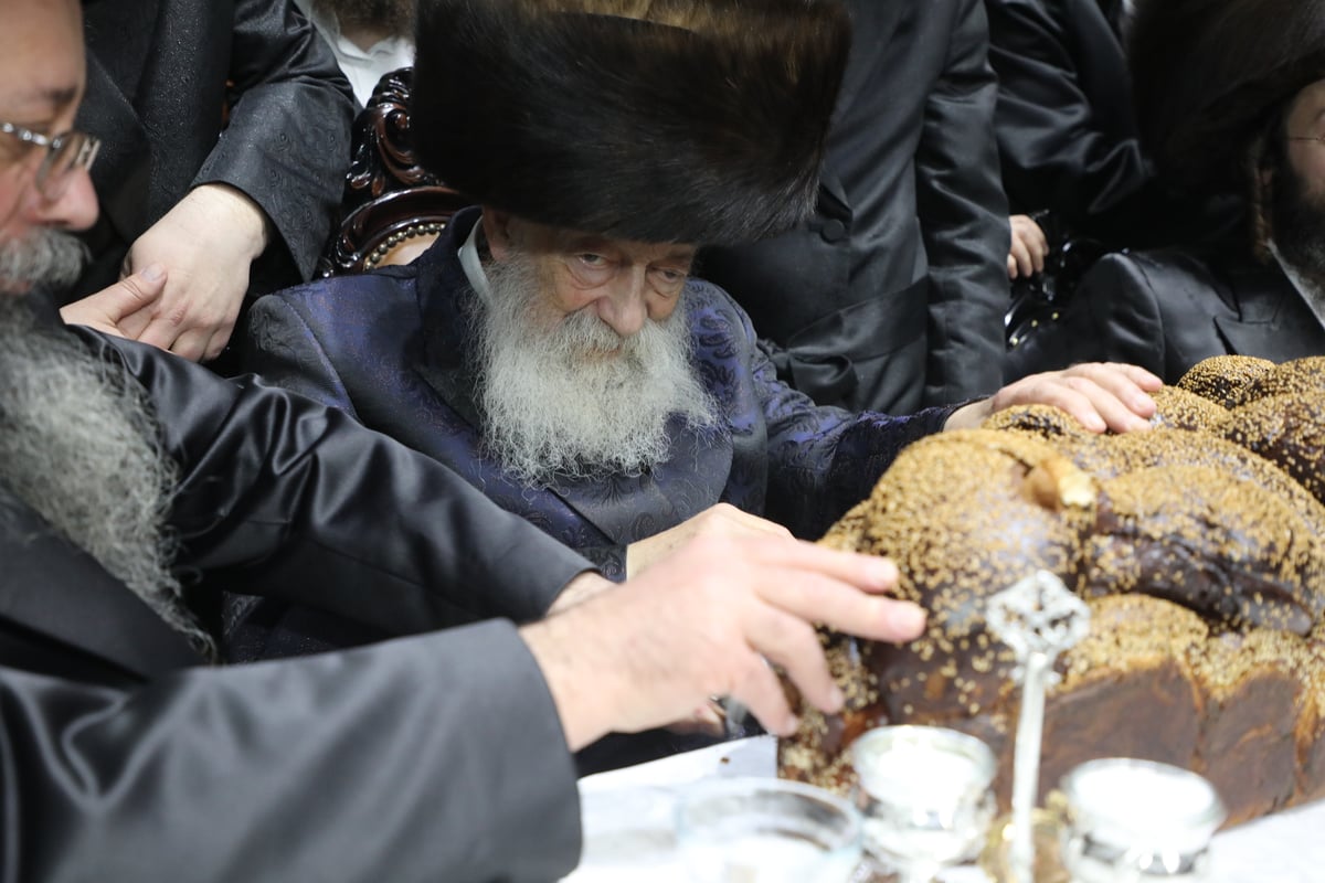 החסידים חגגו בשמחת בית 'דושינסקיא' - 'שבט הלוי' • צפו