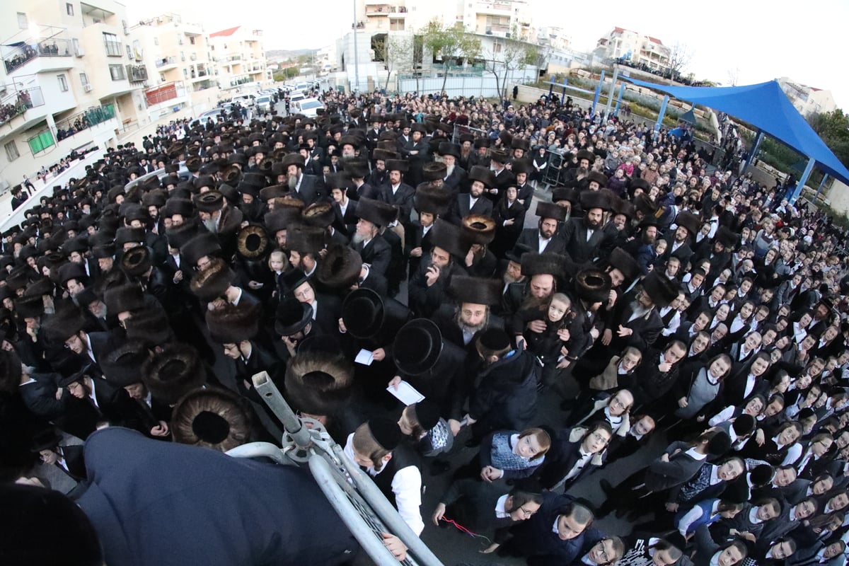 החסידים חגגו בשמחת בית 'דושינסקיא' - 'שבט הלוי' • צפו