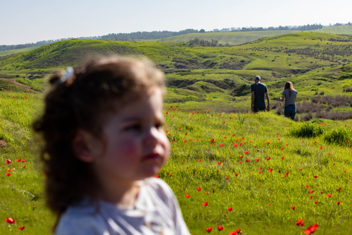 סיור צבעוני לשמורת הפרחים המרהיבה • צפו