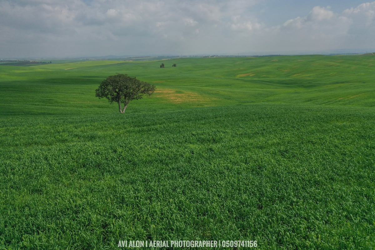 מרהיב: צילום רחפן של שמורת בתרונות רוחמה