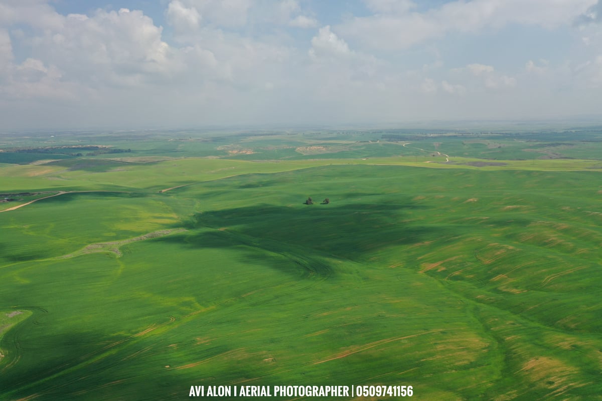 מרהיב: צילום רחפן של שמורת בתרונות רוחמה