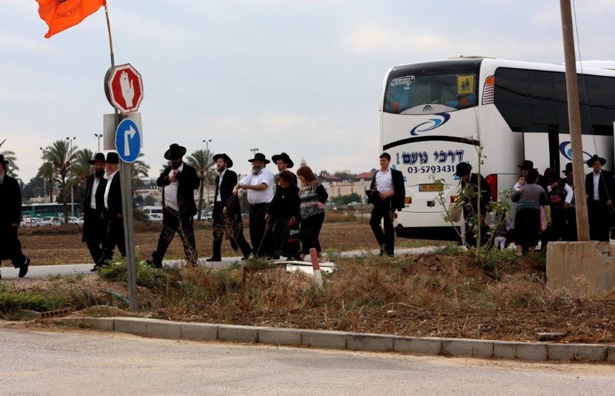 חרדים באחיסמך. אילוסטרציה