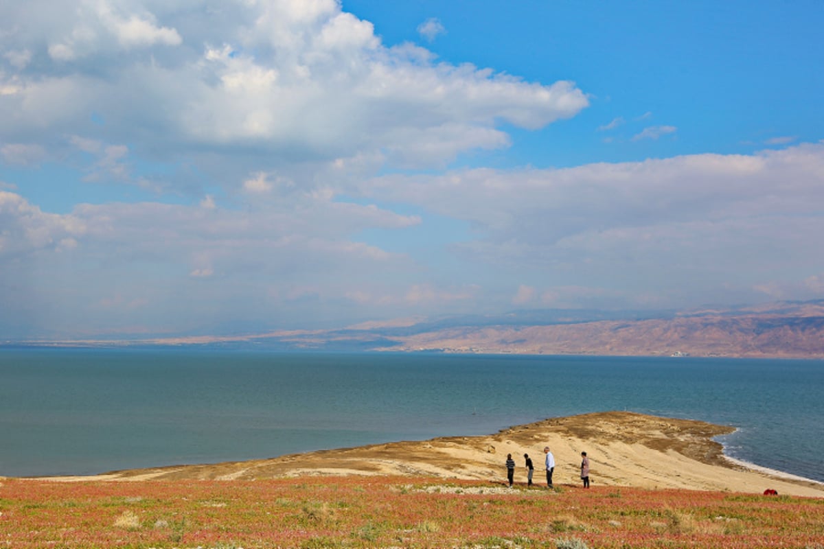 תצפית מרהיבה במיוחד לים המלח ﻿• גלריה