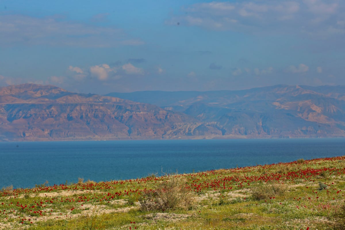 תצפית מרהיבה במיוחד לים המלח ﻿• גלריה