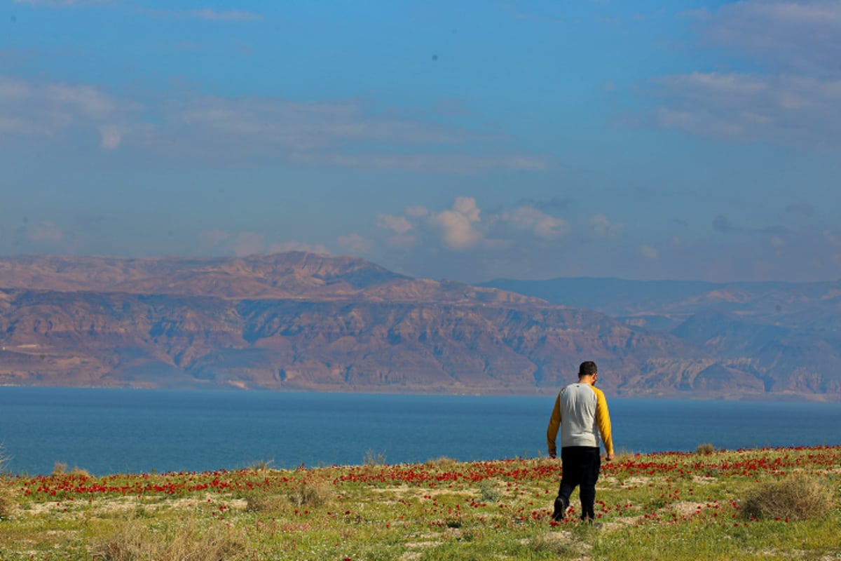 תצפית מרהיבה במיוחד לים המלח ﻿• גלריה