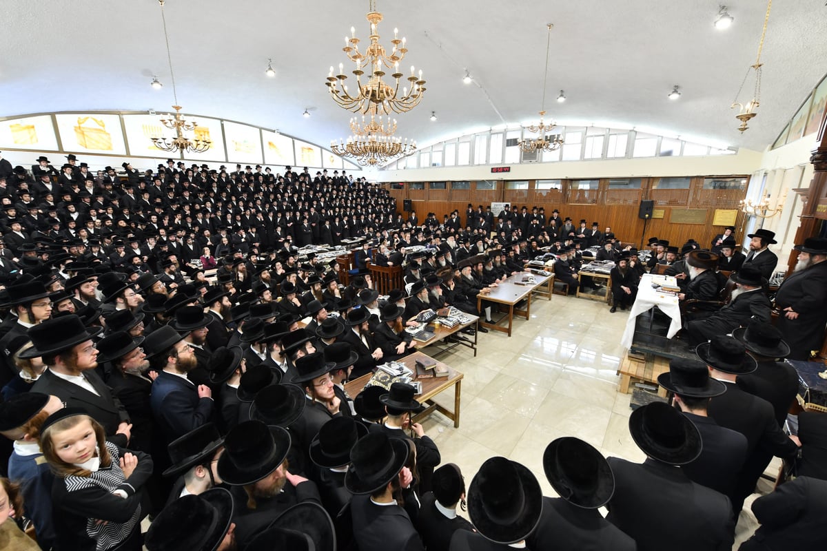 בראשות האדמו"ר: חסידי באבוב "כבשו" את הכותל והתפללו בקבר רחל