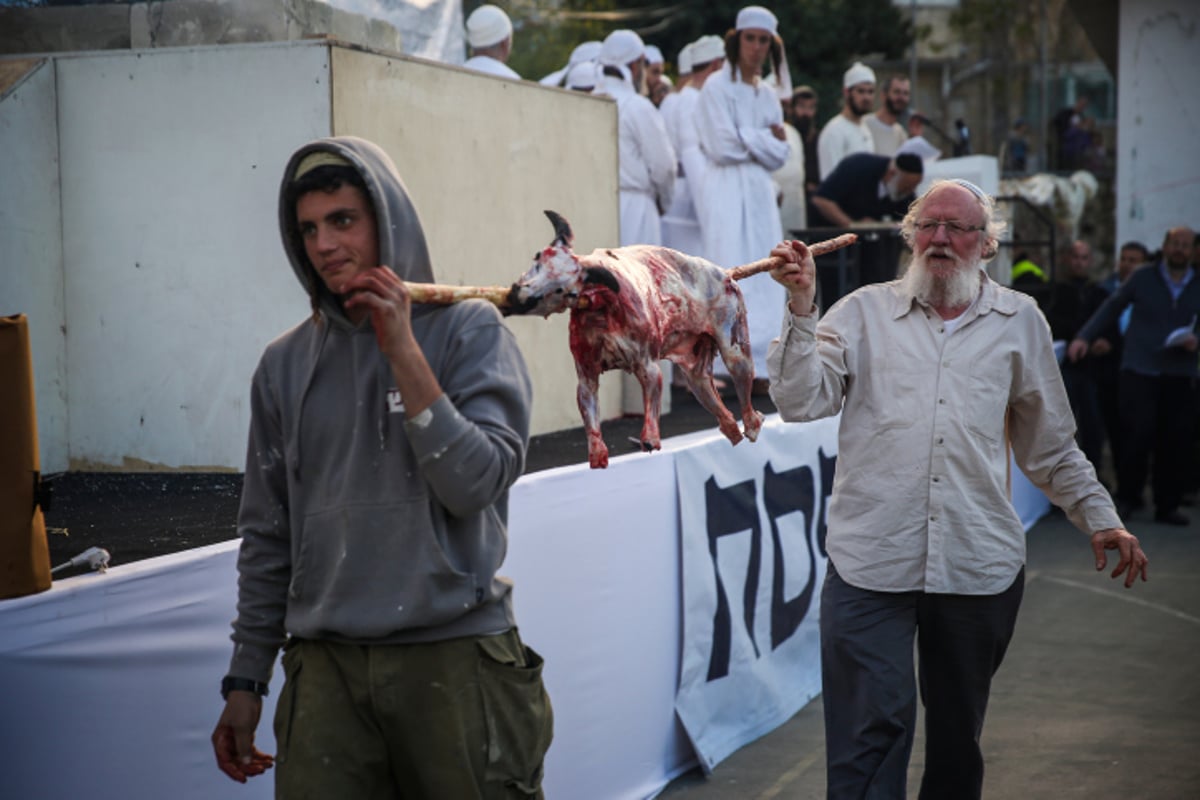 קורבן. אילוסטרציה