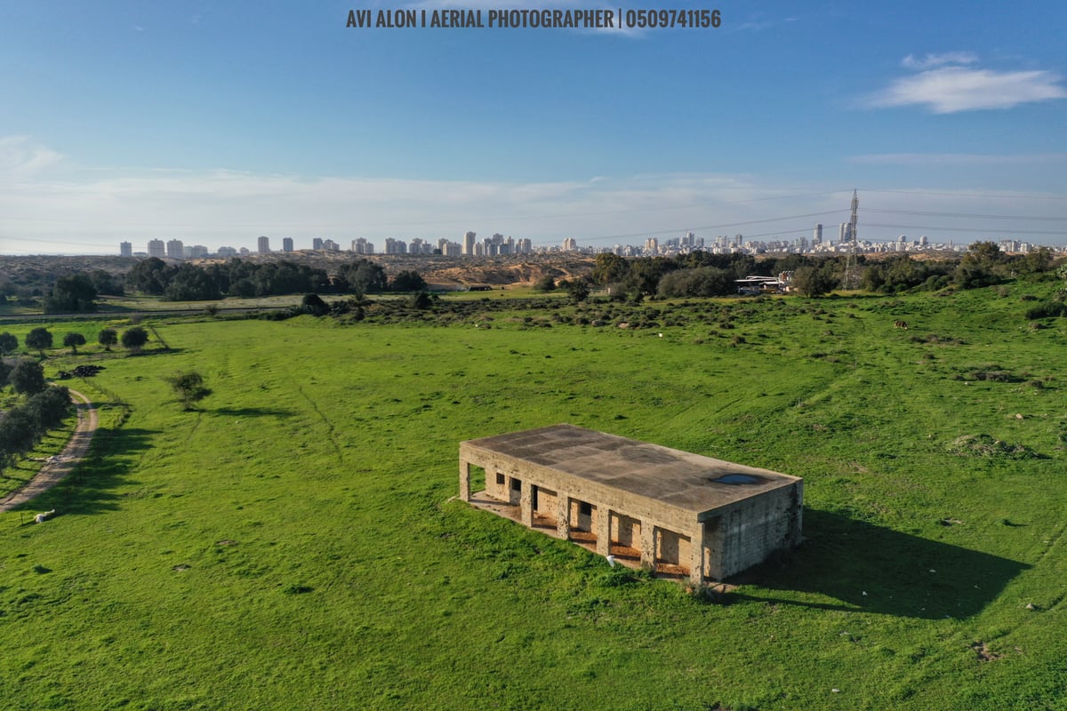 צפו: העיר הפלישתית העתיקה מכוסה ירוק