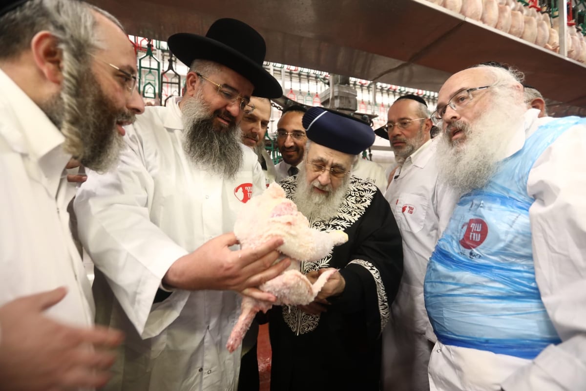 תיעוד: הביקור של הראשון לציון במשחטות