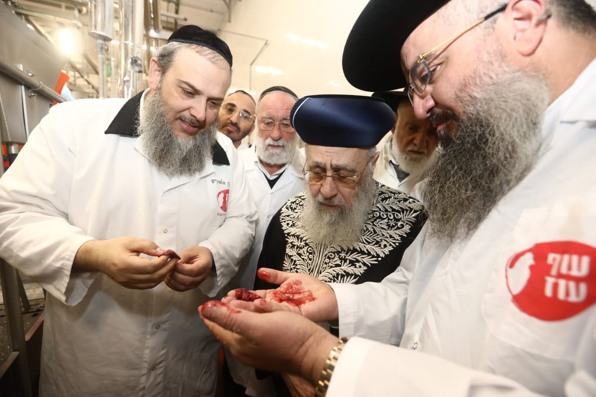 תיעוד: הביקור של הראשון לציון במשחטות