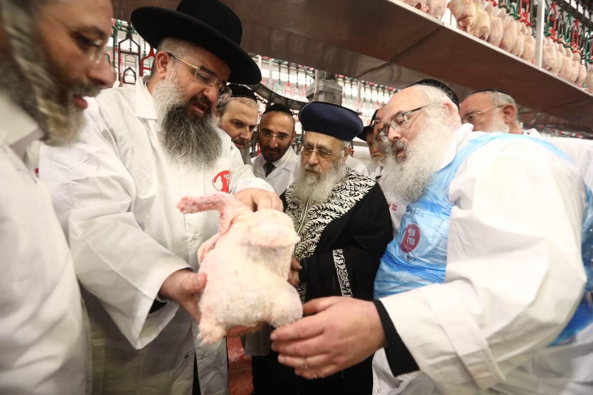 תיעוד: הביקור של הראשון לציון במשחטות