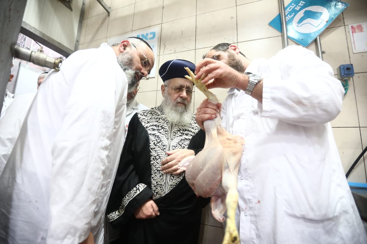 תיעוד: הביקור של הראשון לציון במשחטות