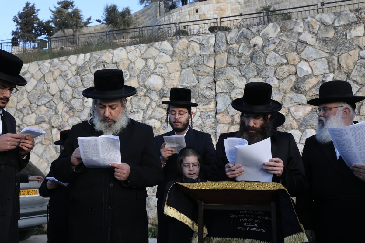 מעמד הקמת מצבה על קברו של האדמו"ר מקליוולנד זצ"ל