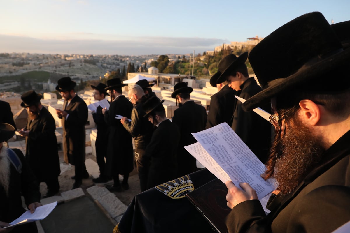 מעמד הקמת מצבה על קברו של האדמו"ר מקליוולנד זצ"ל