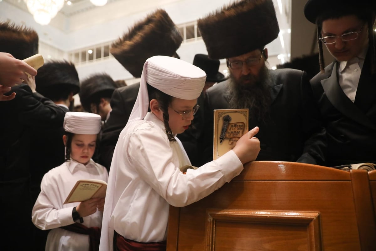 תיעוד: קריאת המגילה אצל האדמו"ר מבעלזא