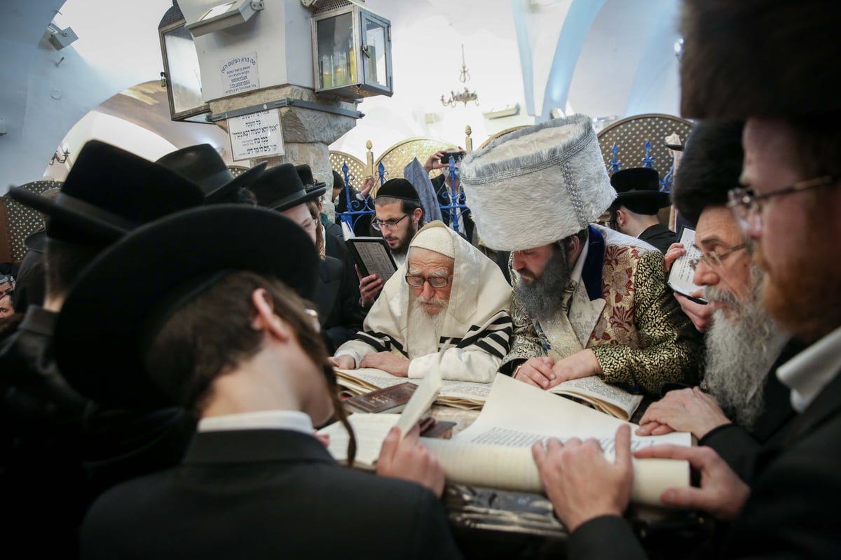 חגיגת פורים בציונו של רבי שמעון בר יוחאי