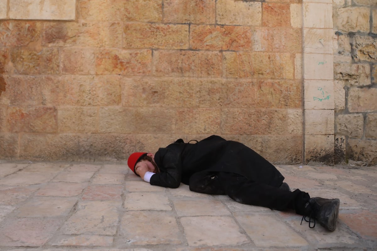 קדצ'קה באמצע הרחוב: גלריה באווירת פורים