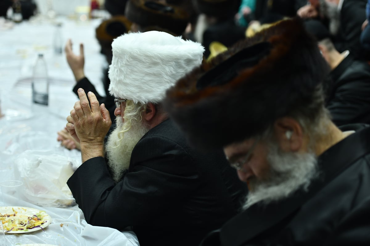 'שמחת הפורים' הארוכה בחסידות נדבורנה