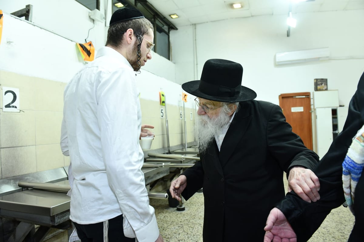 כך ה'חזונאישניקים' אופים מצות • תיעוד ענק