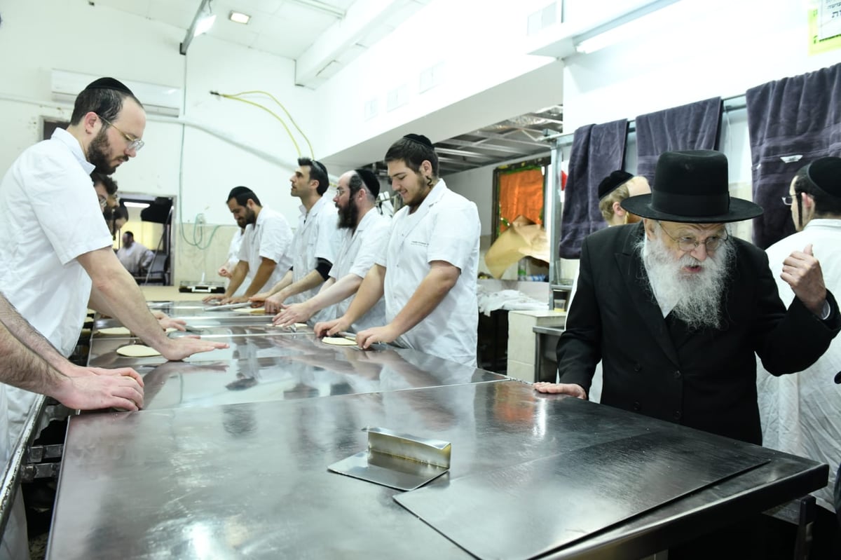 כך ה'חזונאישניקים' אופים מצות • תיעוד ענק