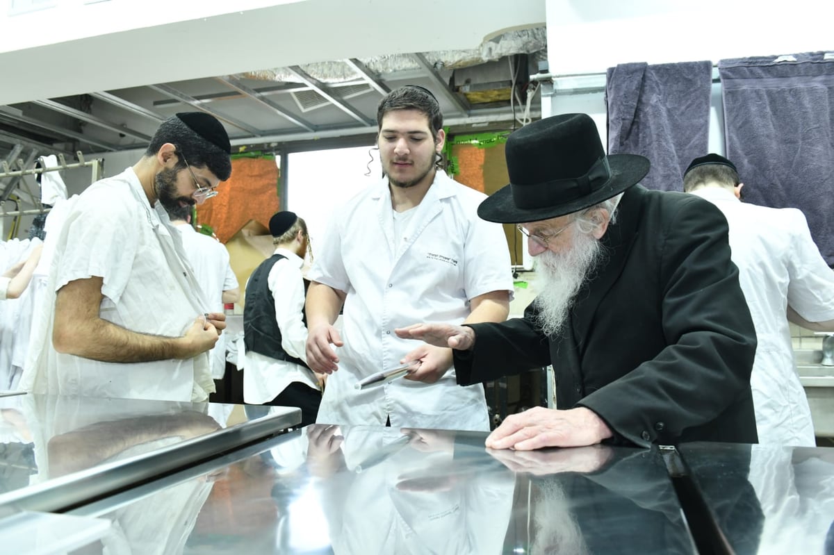 כך ה'חזונאישניקים' אופים מצות • תיעוד ענק