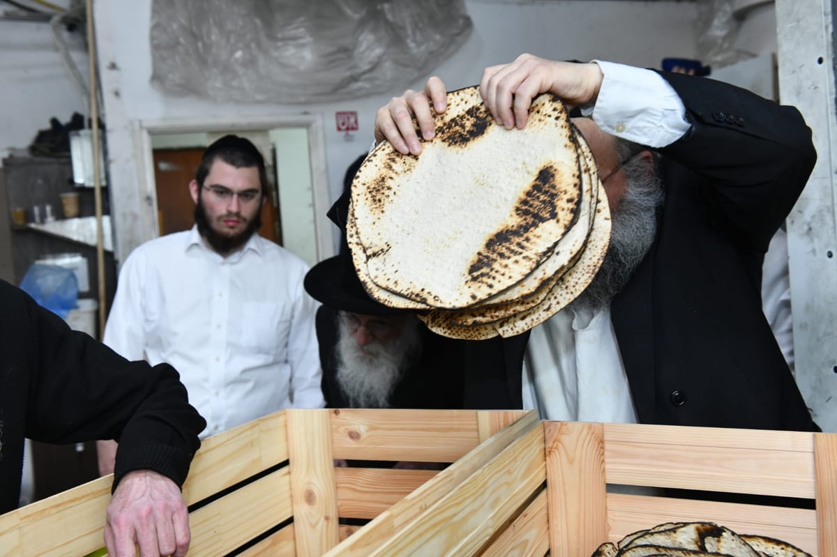 כך ה'חזונאישניקים' אופים מצות • תיעוד ענק