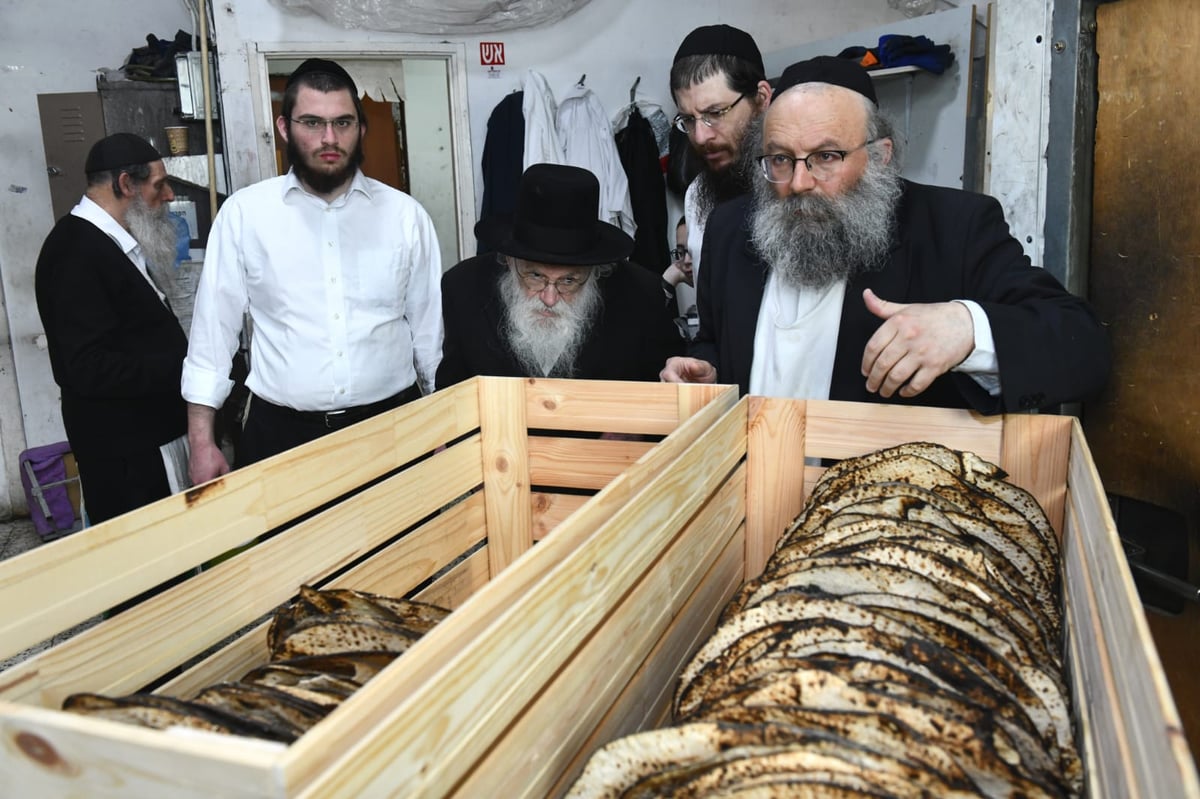 כך ה'חזונאישניקים' אופים מצות • תיעוד ענק