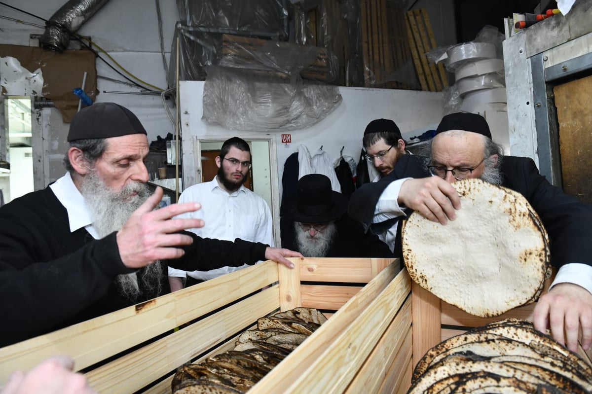 כך ה'חזונאישניקים' אופים מצות • תיעוד ענק