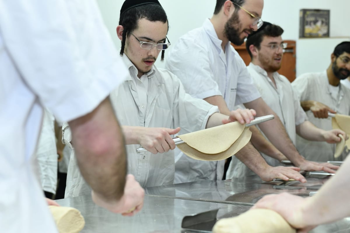 כך ה'חזונאישניקים' אופים מצות • תיעוד ענק