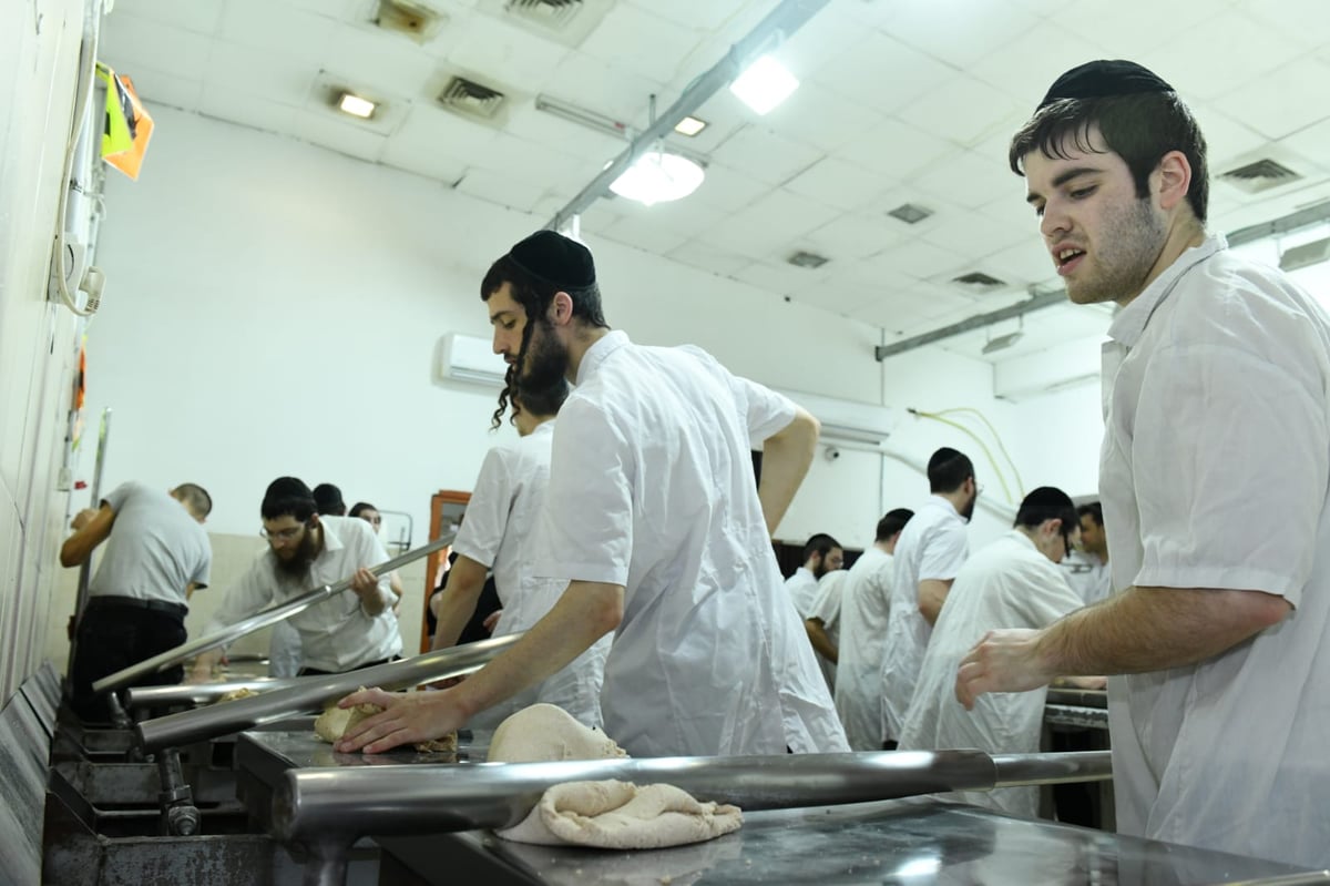 כך ה'חזונאישניקים' אופים מצות • תיעוד ענק