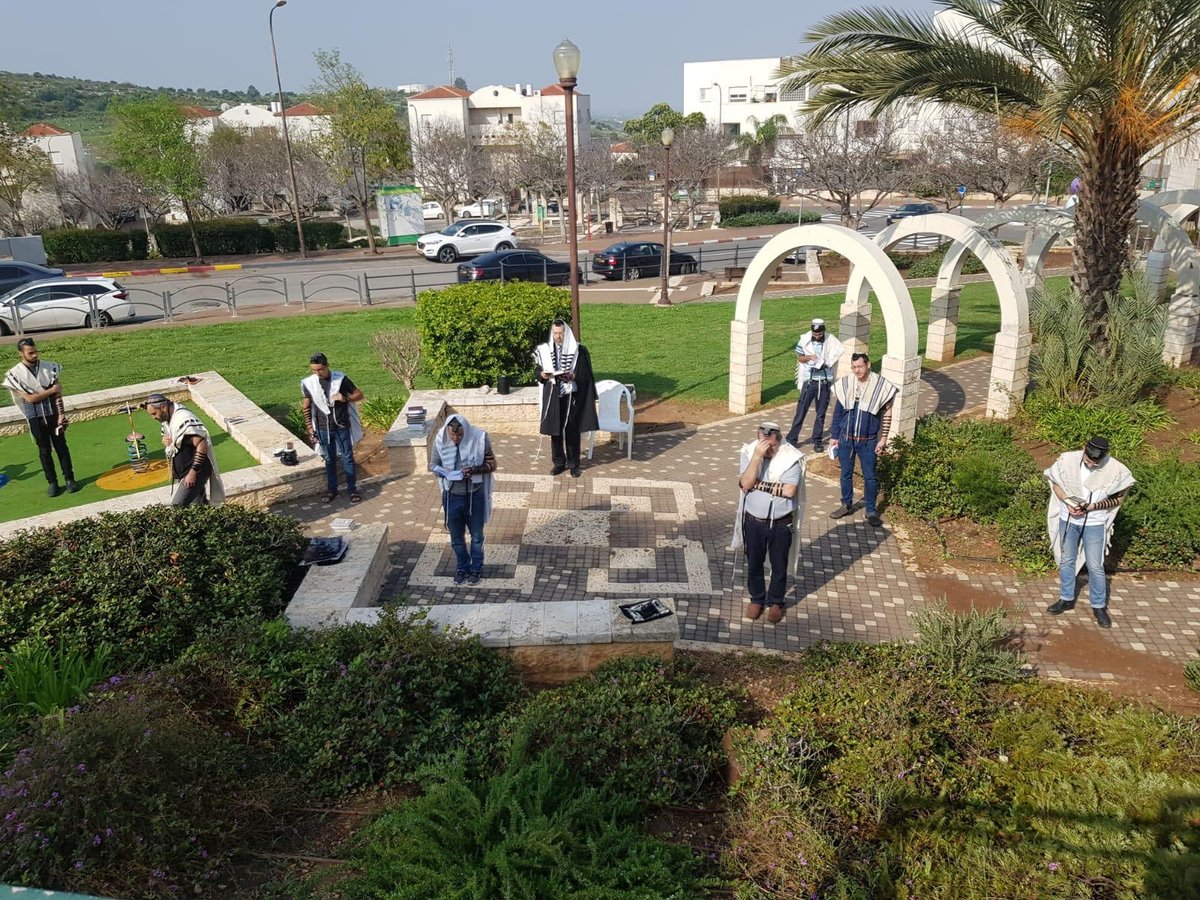 הרב לאו בתפילה, הבוקר