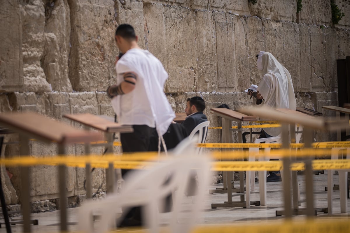 רחבת הכותל המערבי חולקה למתחמי תפילה • תיעוד