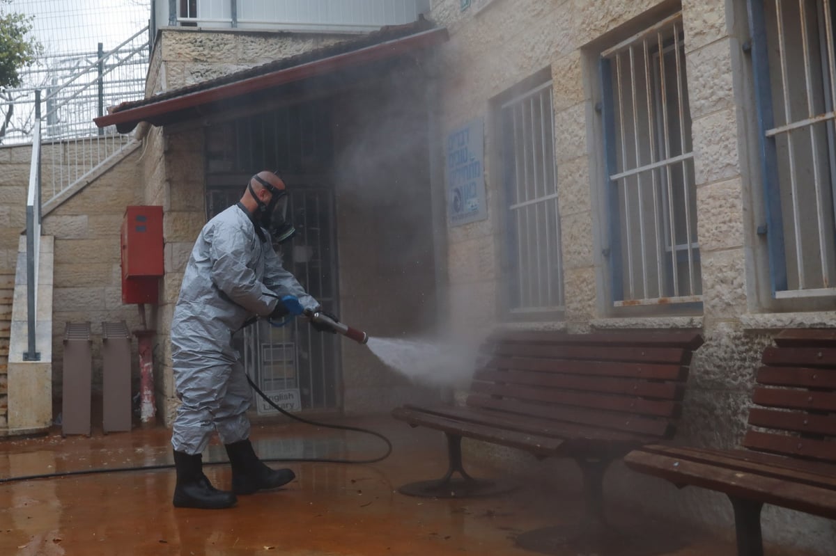 מסיכות וחיטוי: הבהלה בטלז סטון מהקורונה