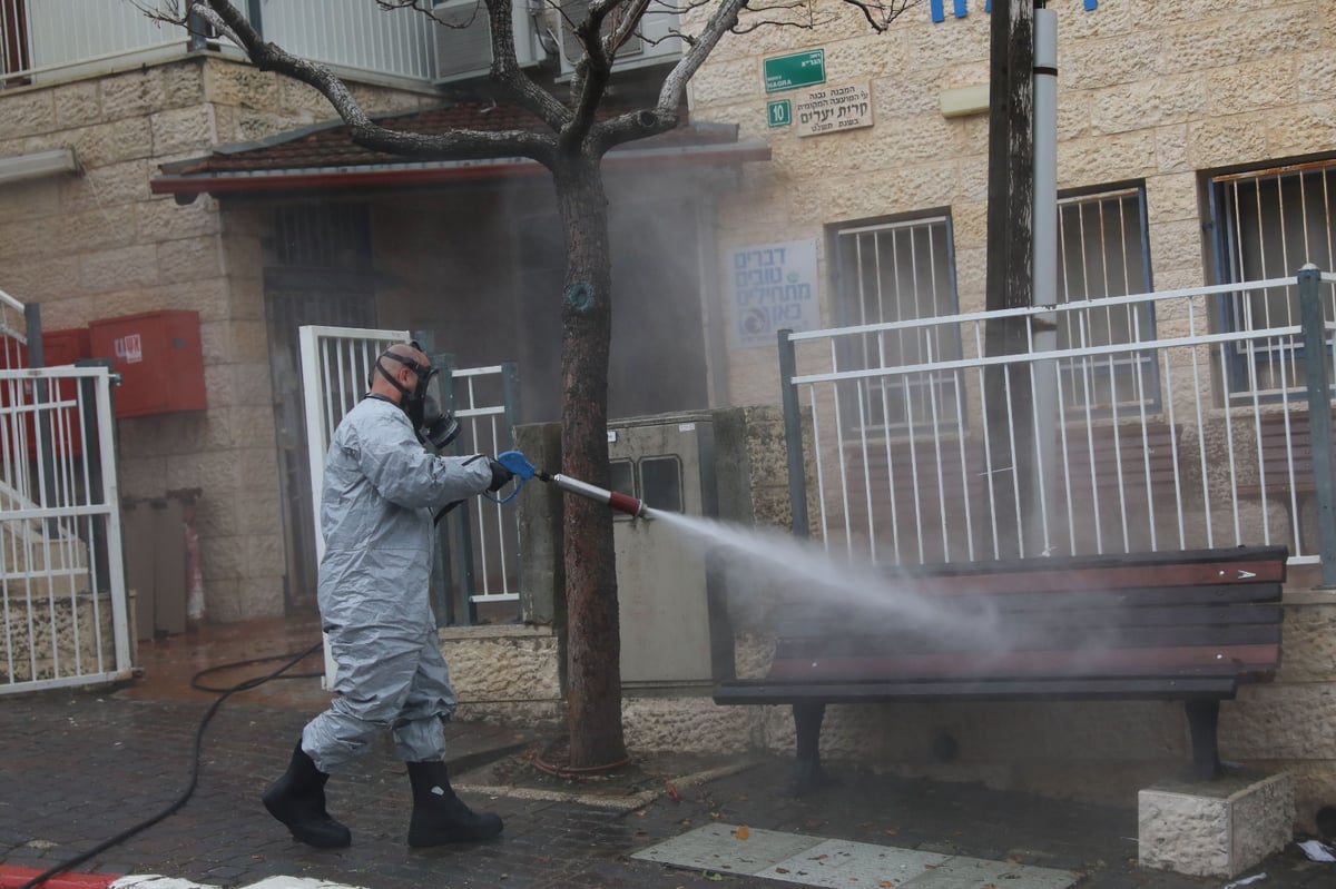 מסיכות וחיטוי: הבהלה בטלז סטון מהקורונה