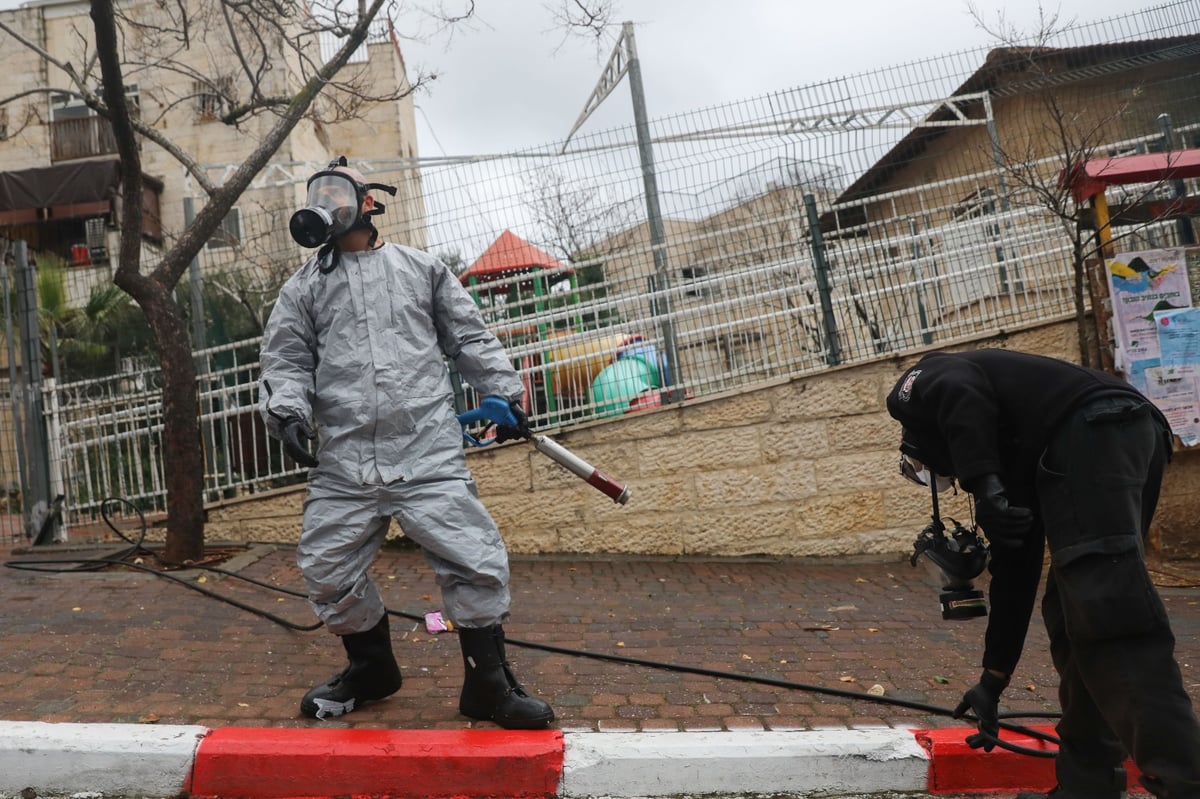 מסיכות וחיטוי: הבהלה בטלז סטון מהקורונה