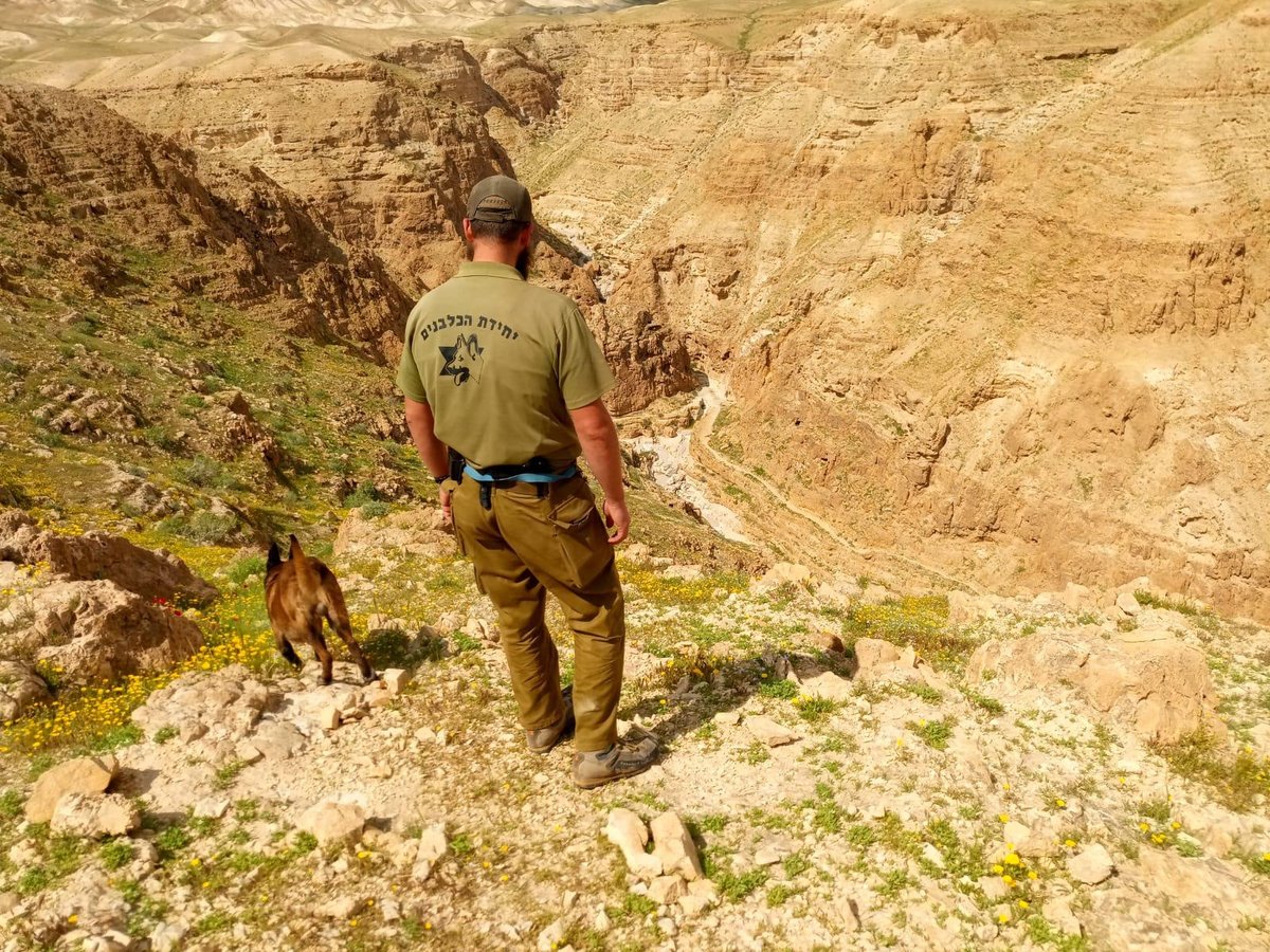 משפחת הנעדר טוענת: "זושא ברנדווין נחטף" • צפו