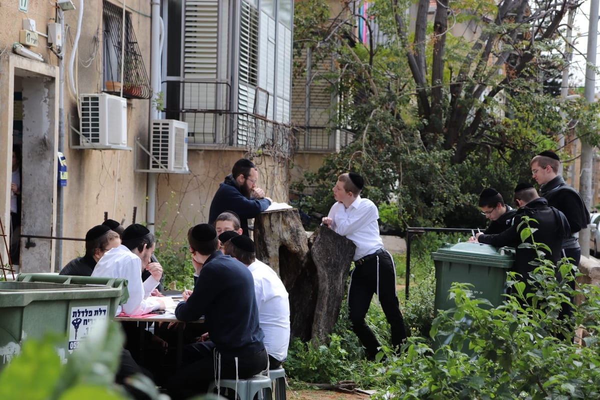 לא מוותרים על סדר א': צפו בגלריה מרגשת