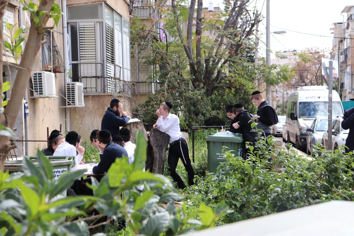 לא מוותרים על סדר א': צפו בגלריה מרגשת