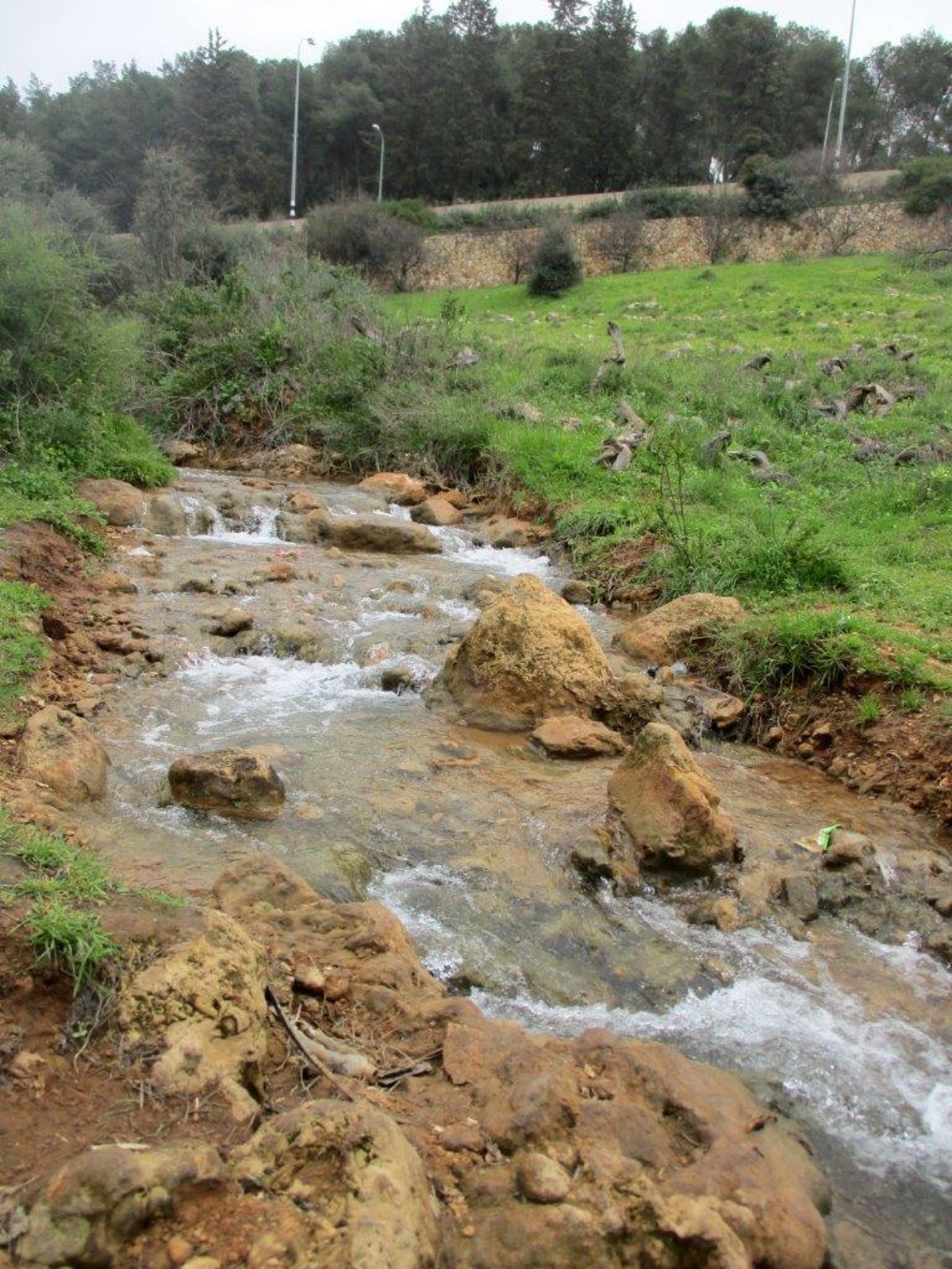 גלרייה אביבית: נחל פרוד שבגליל העליון