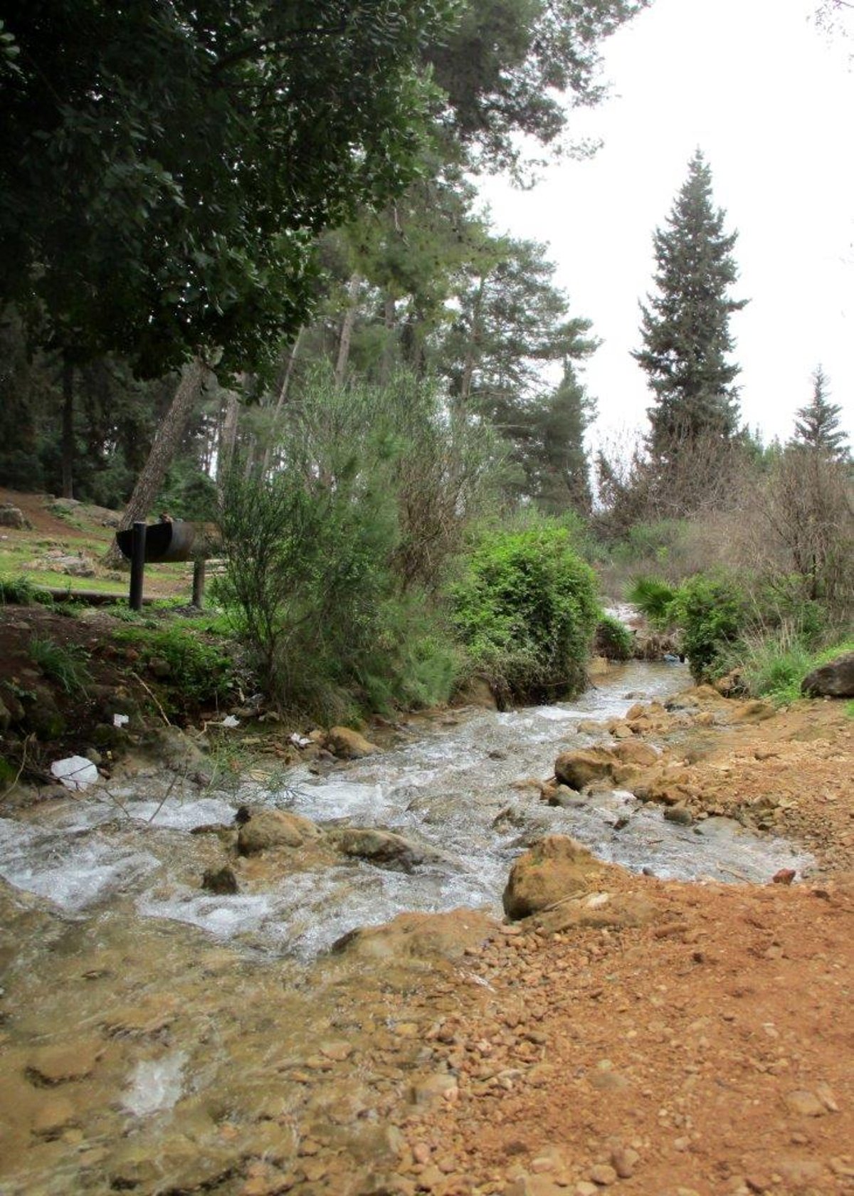 גלרייה אביבית: נחל פרוד שבגליל העליון