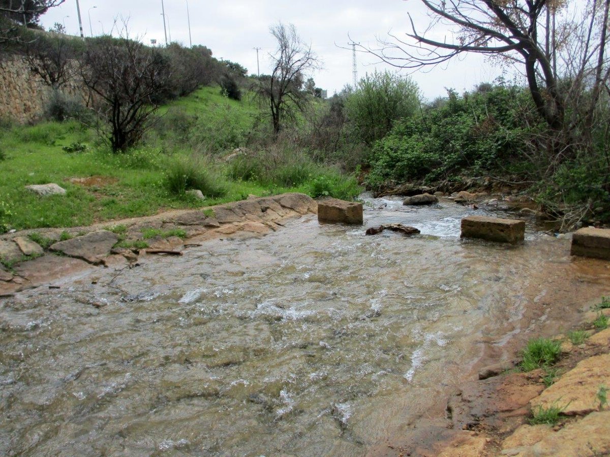 גלרייה אביבית: נחל פרוד שבגליל העליון