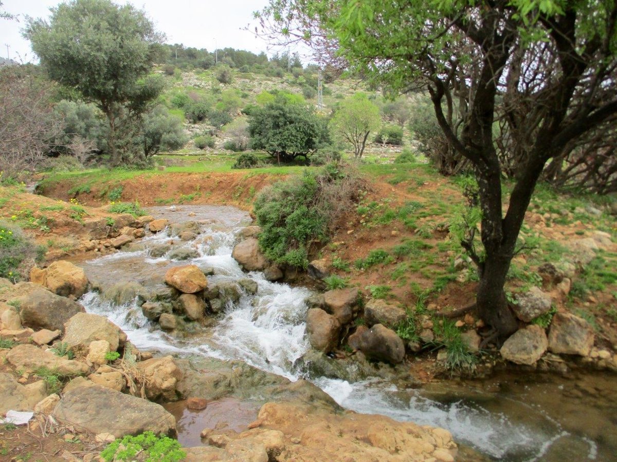 גלרייה אביבית: נחל פרוד שבגליל העליון