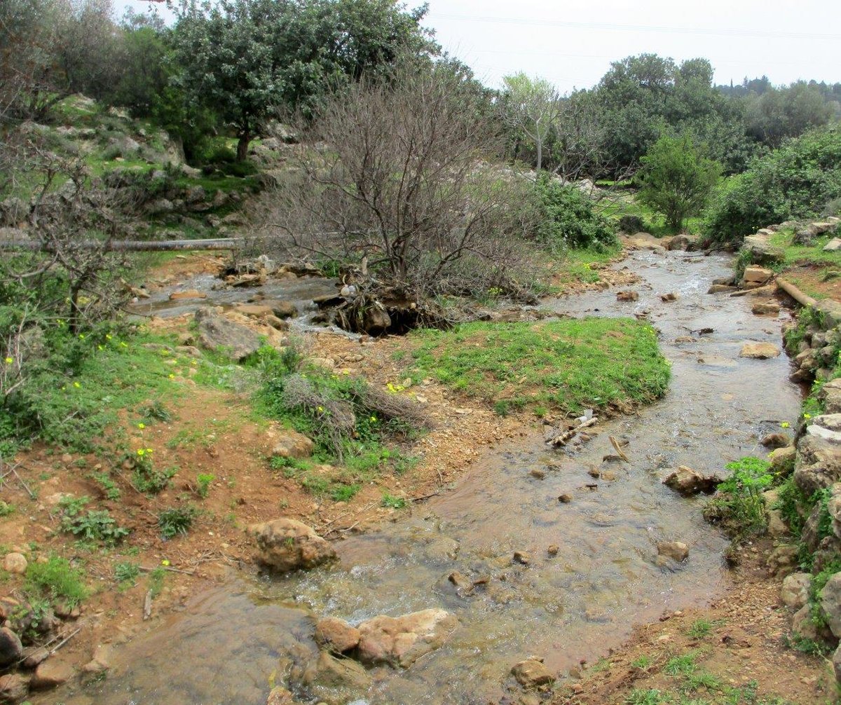 גלרייה אביבית: נחל פרוד שבגליל העליון