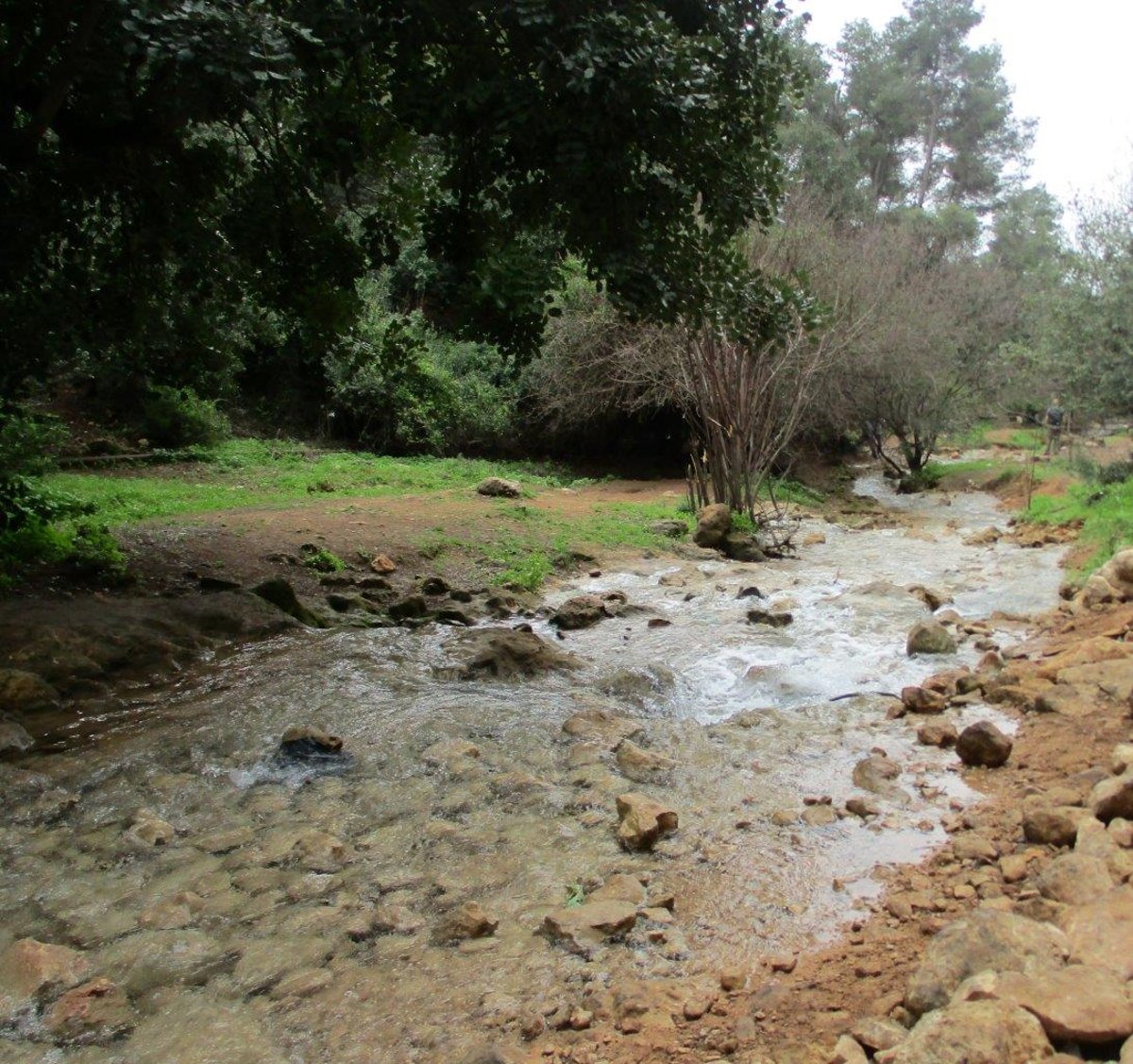 גלרייה אביבית: נחל פרוד שבגליל העליון