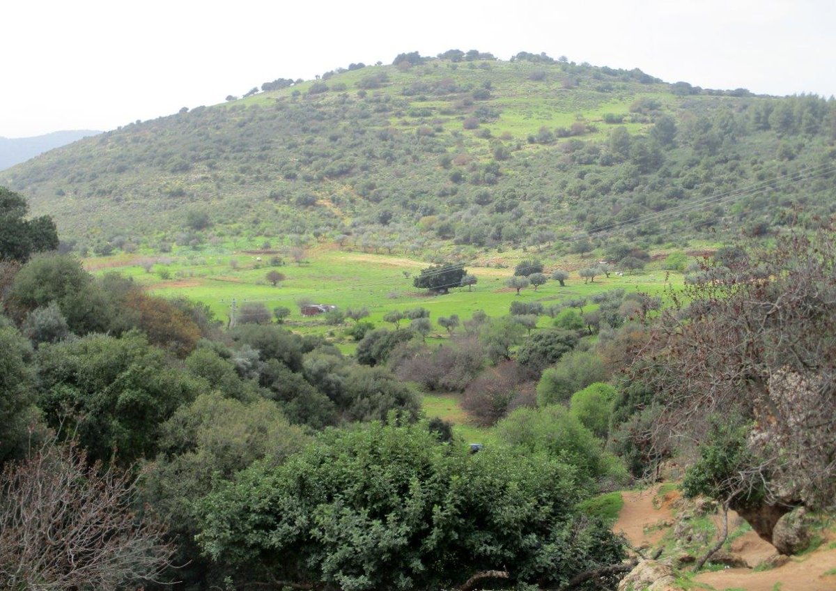 גלרייה אביבית: נחל פרוד שבגליל העליון