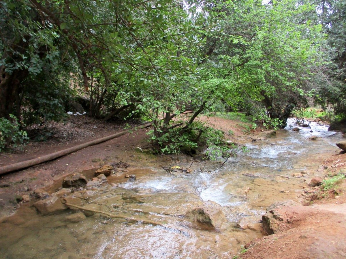 גלרייה אביבית: נחל פרוד שבגליל העליון