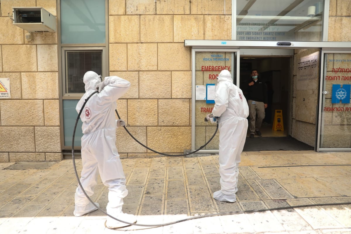 השטחים הציבוריים בהדסה עין כרם חוטאו